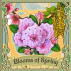 A Garden of Fun Awaits in the Blooms of Spring Badge Collection