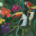 Follow the Clues to Win the New New Birds of Paradise Treasure Chase