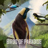 Flock Together with the New Birds of Paradise Badge Collection