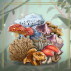 Go Foraging with the New Fungi Badge Collection