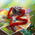 Follow the Clues to Win the Picture Perfect Treasure Chase