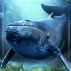 Available Now: Sea Giants Badge Collection for Mahjong Safari HD