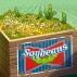 Available now: Harvest Exports Badge Collection for World Class Solitaire HD