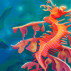 Make a Splash with the Seadragons Badge Collection in Quinn’s Aquarium!